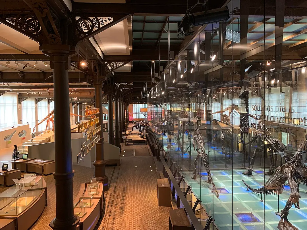 Naturwissenschaftliches Museum Belgien