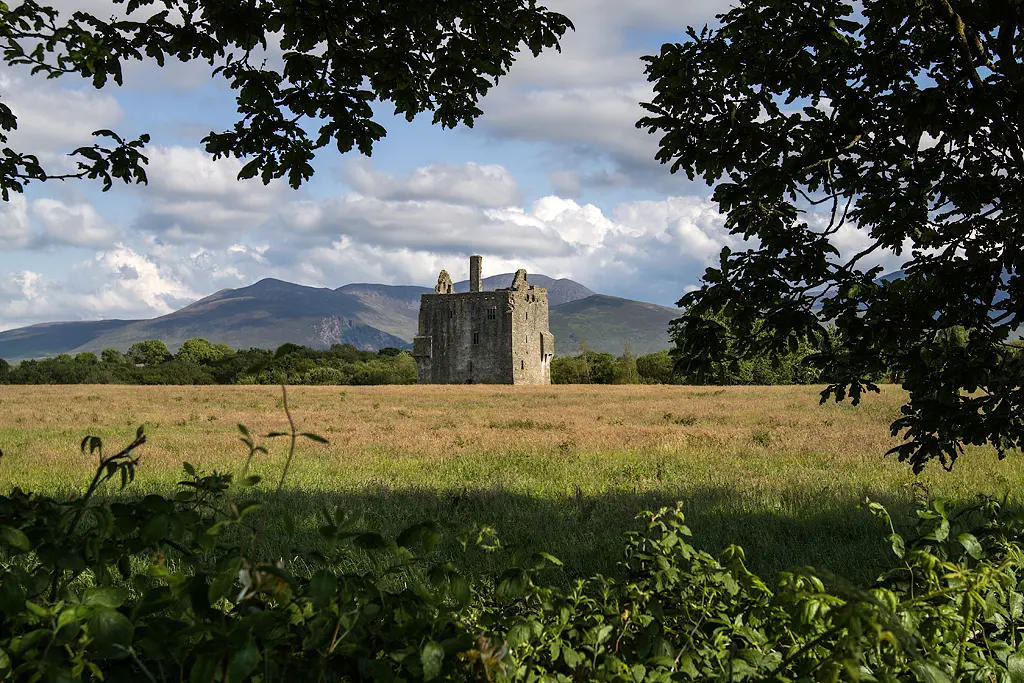 Ballymalis Castle