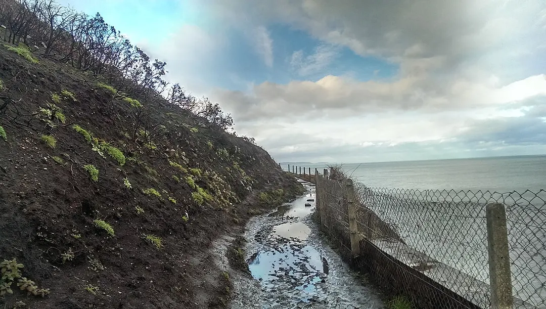Bray Head