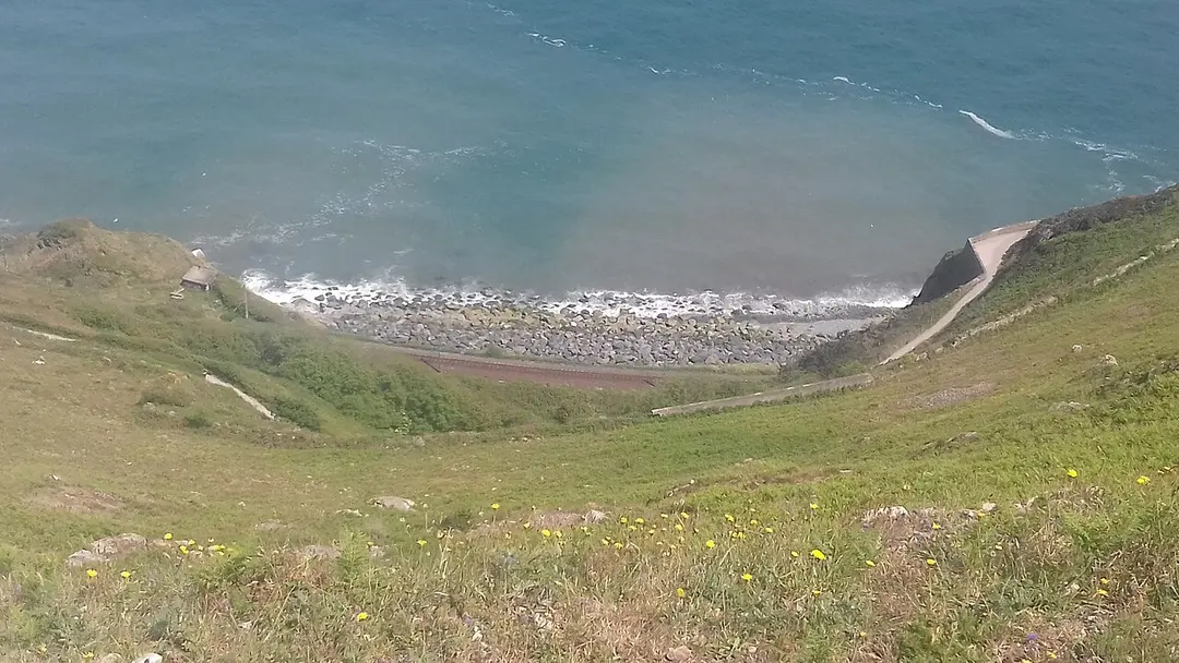 Bray Head