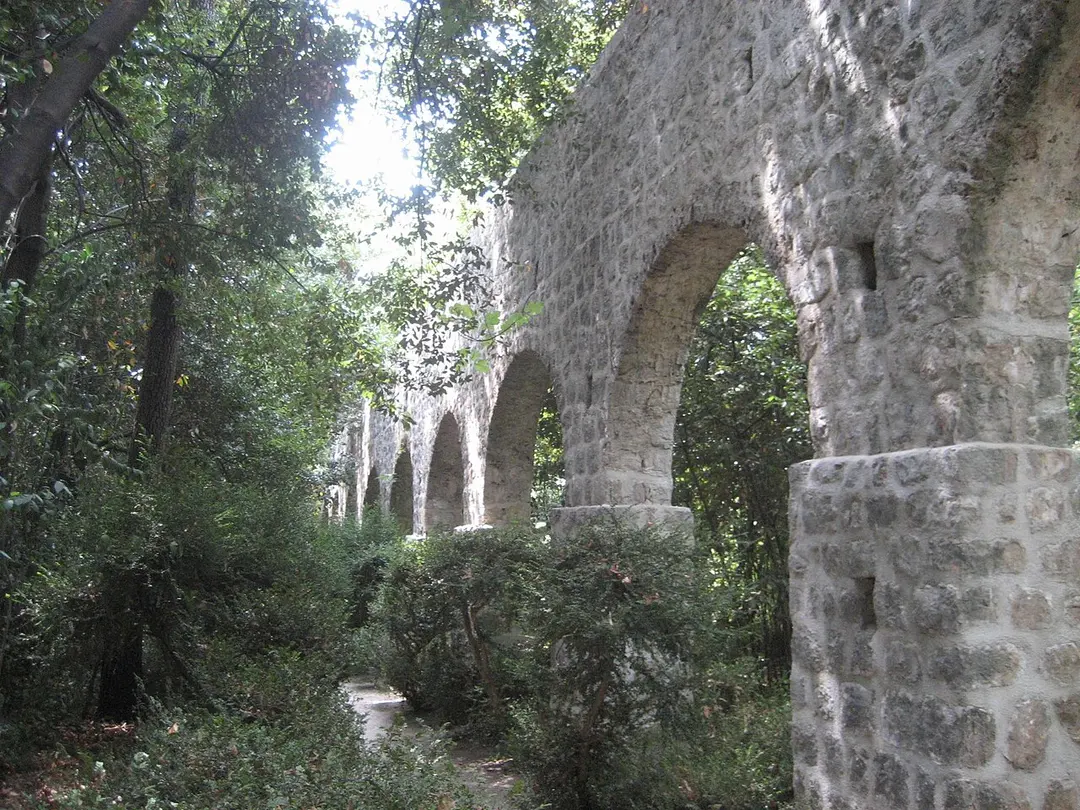 Arboretum