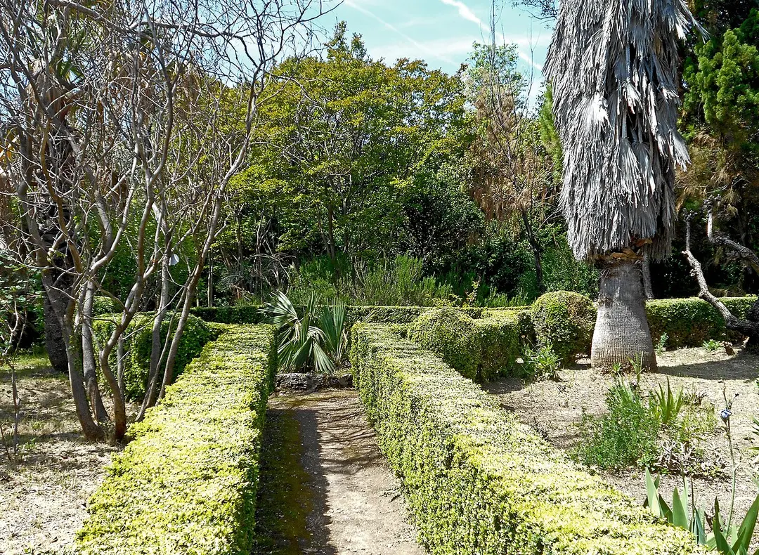 Arboretum