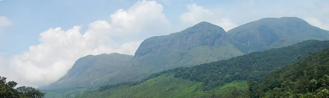 Anamudi