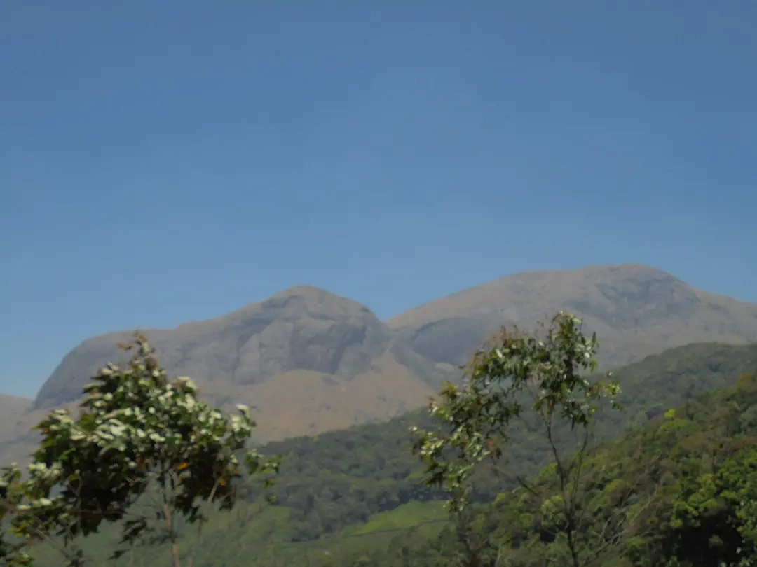 Anamudi