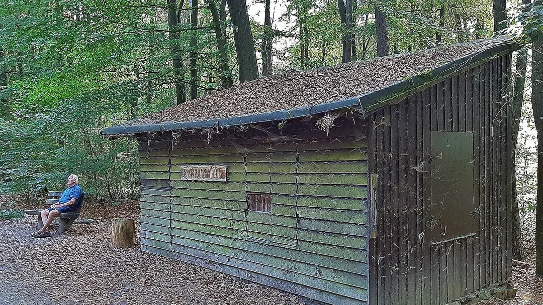 Buchwaldskopf
