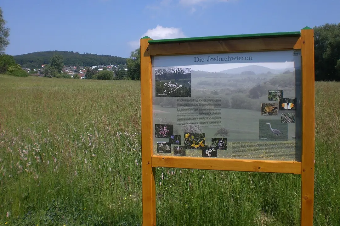 Buchwaldskopf