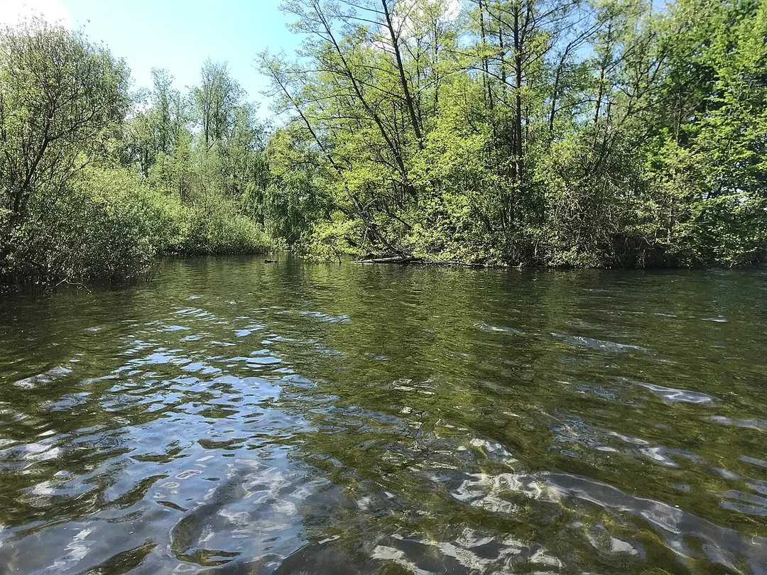 Bleibtreusee