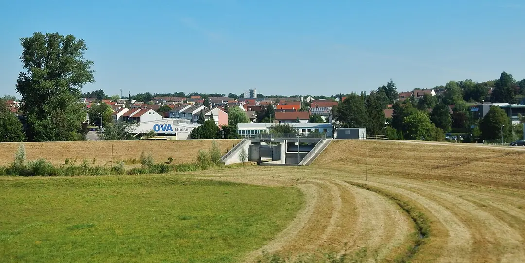 Aal