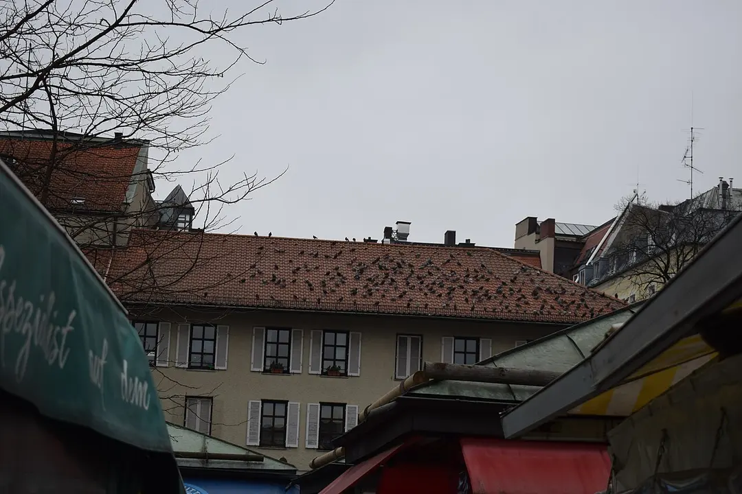 Viktualienmarkt