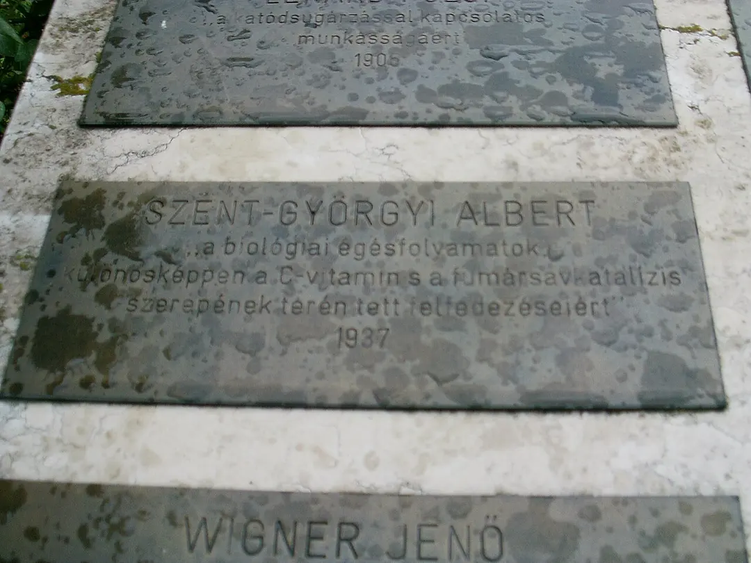Albert Szent-Györgyi