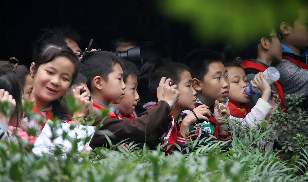 Chengdu Forschungsbasis für die Zucht des Großen Pandas