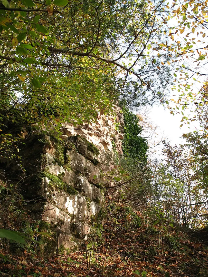 Burg Hohenstein