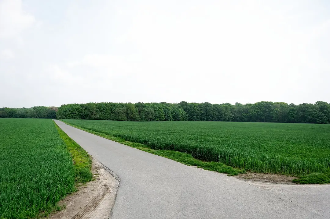Niederheide am Egelsberg