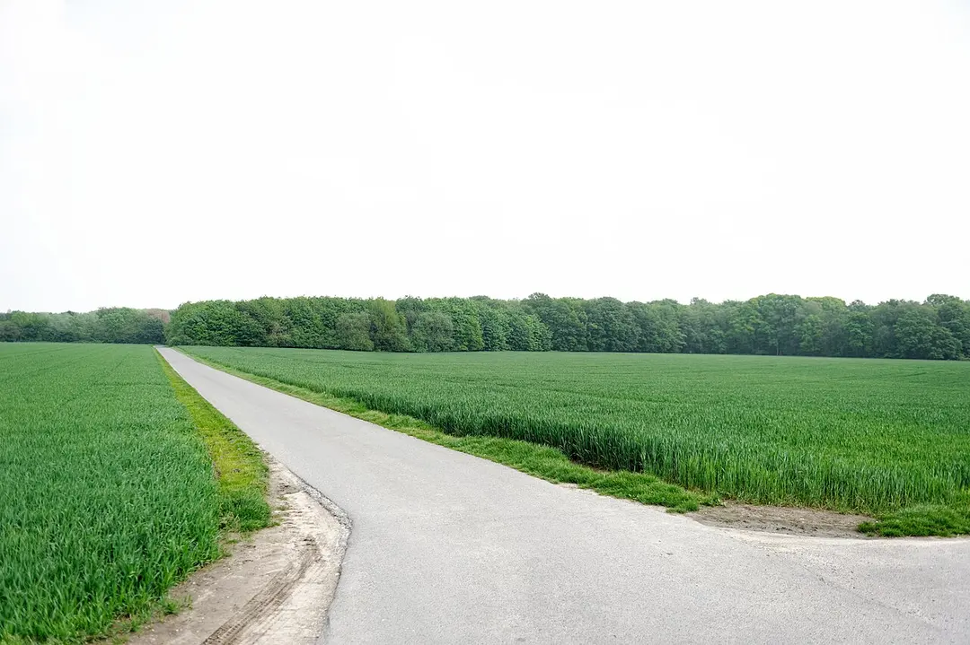Niederheide am Egelsberg