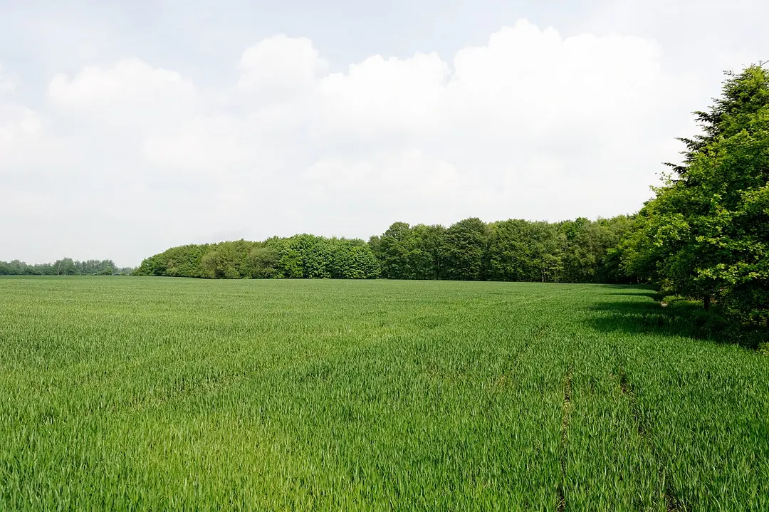 Niederheide am Egelsberg