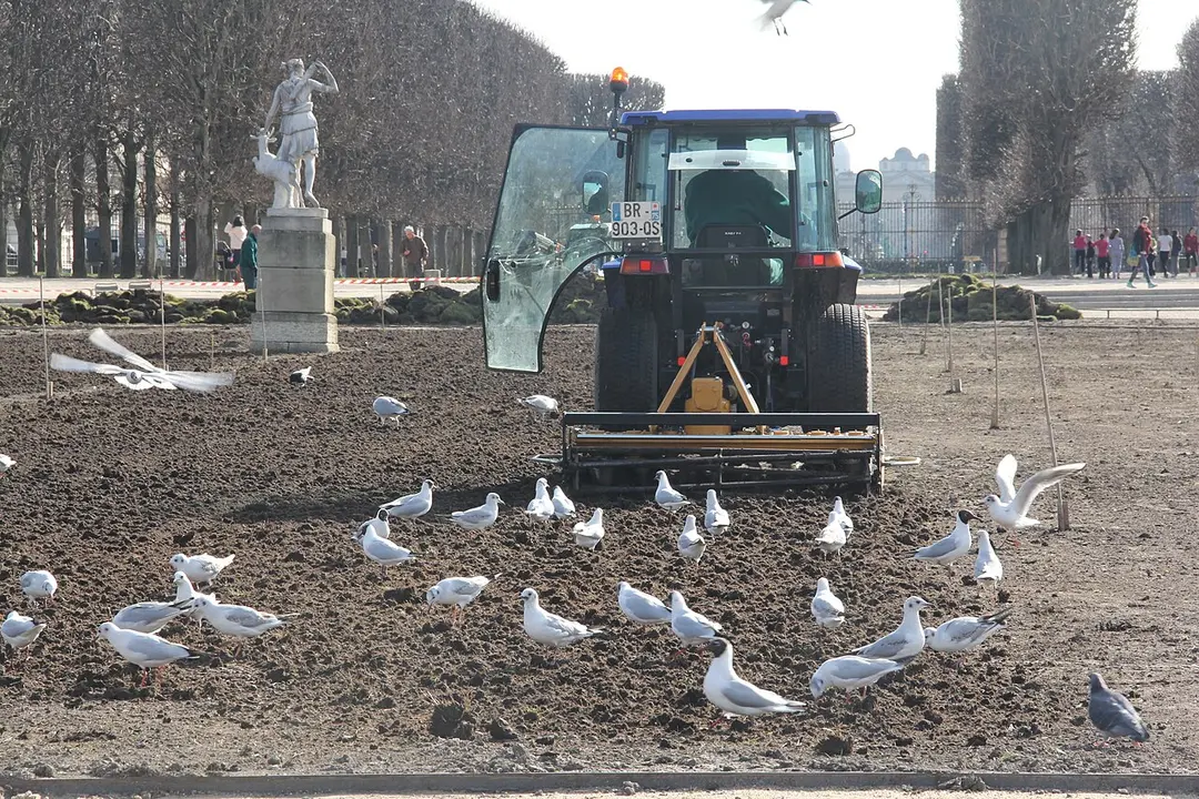 Jardin du Luxembourg
