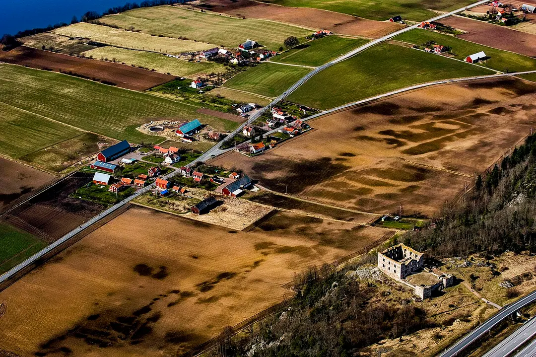 Brahehus