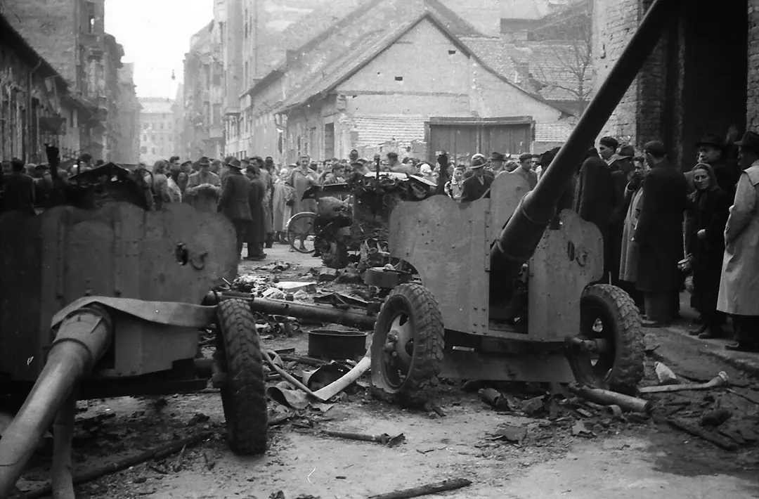 85-мм дивизионная пушка Д-44