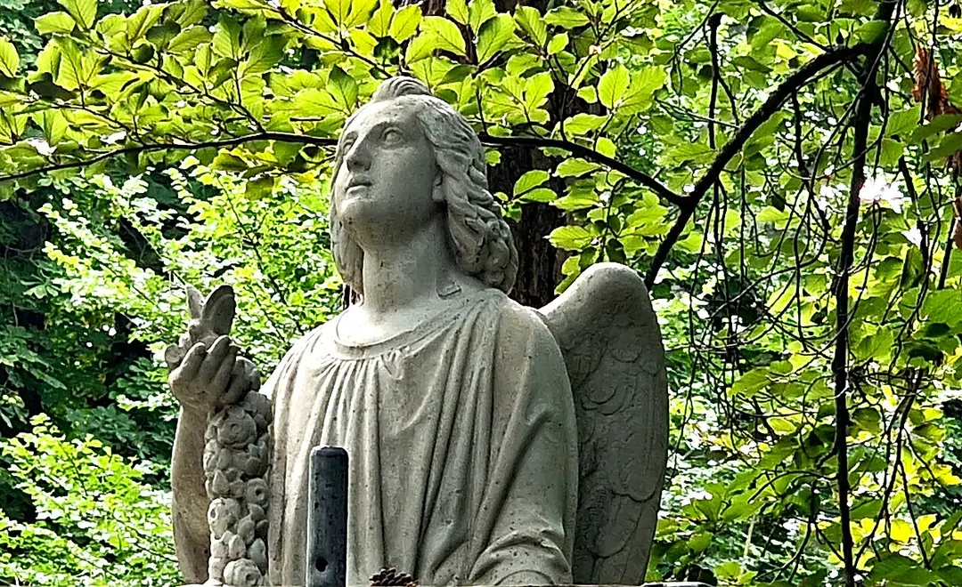 Albani-Friedhof