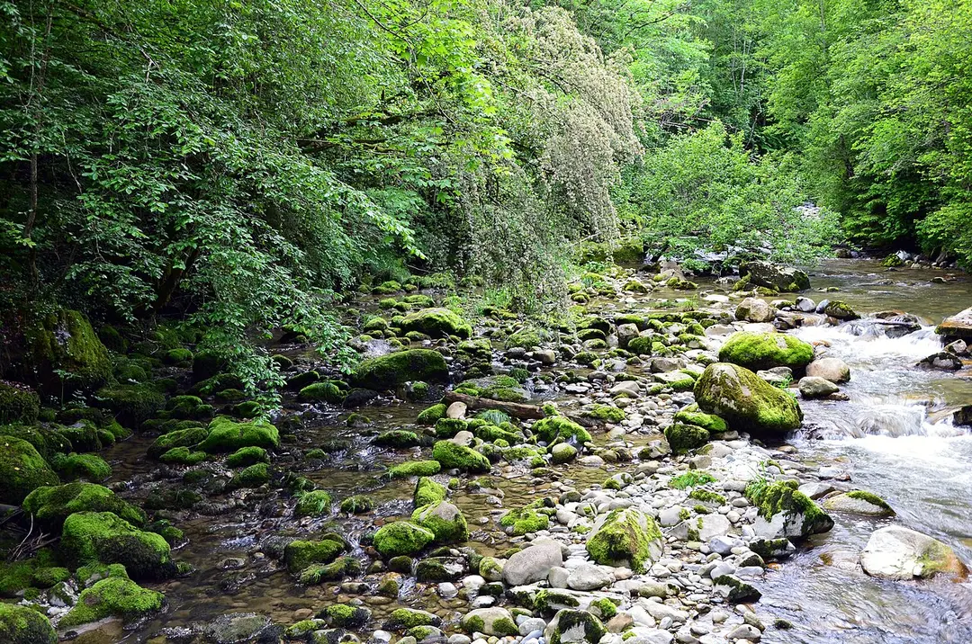 Aubonne