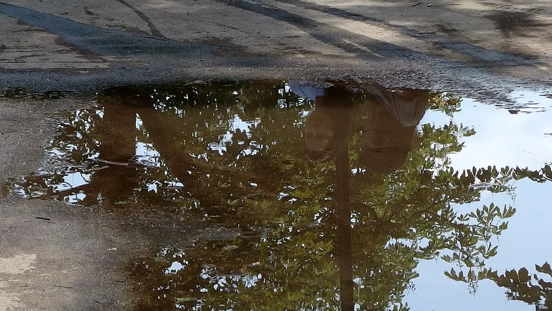 Borisova Gradina