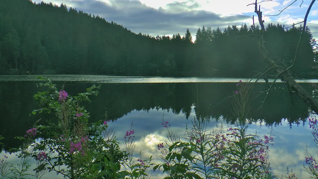 Mummelsee