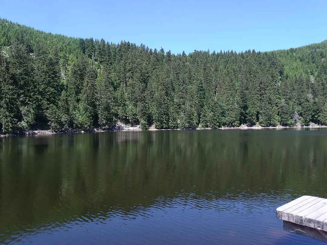 Mummelsee