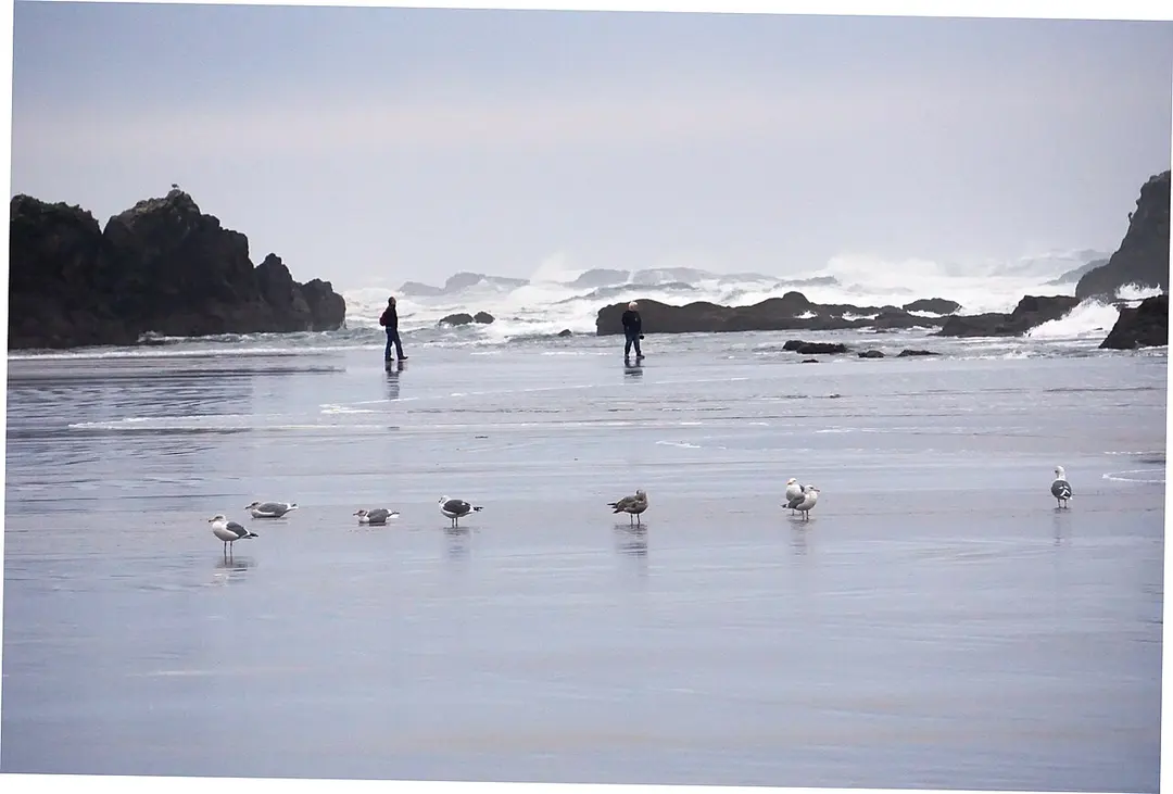Seal Rock State Recreation Site