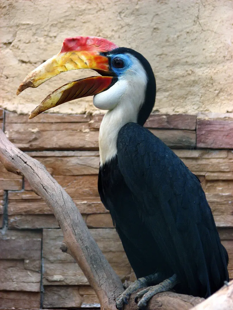 Attischer Zoologischer Park