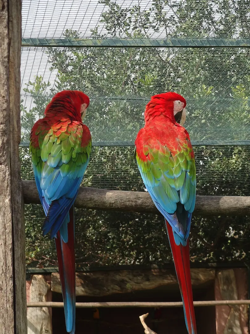 Attischer Zoologischer Park