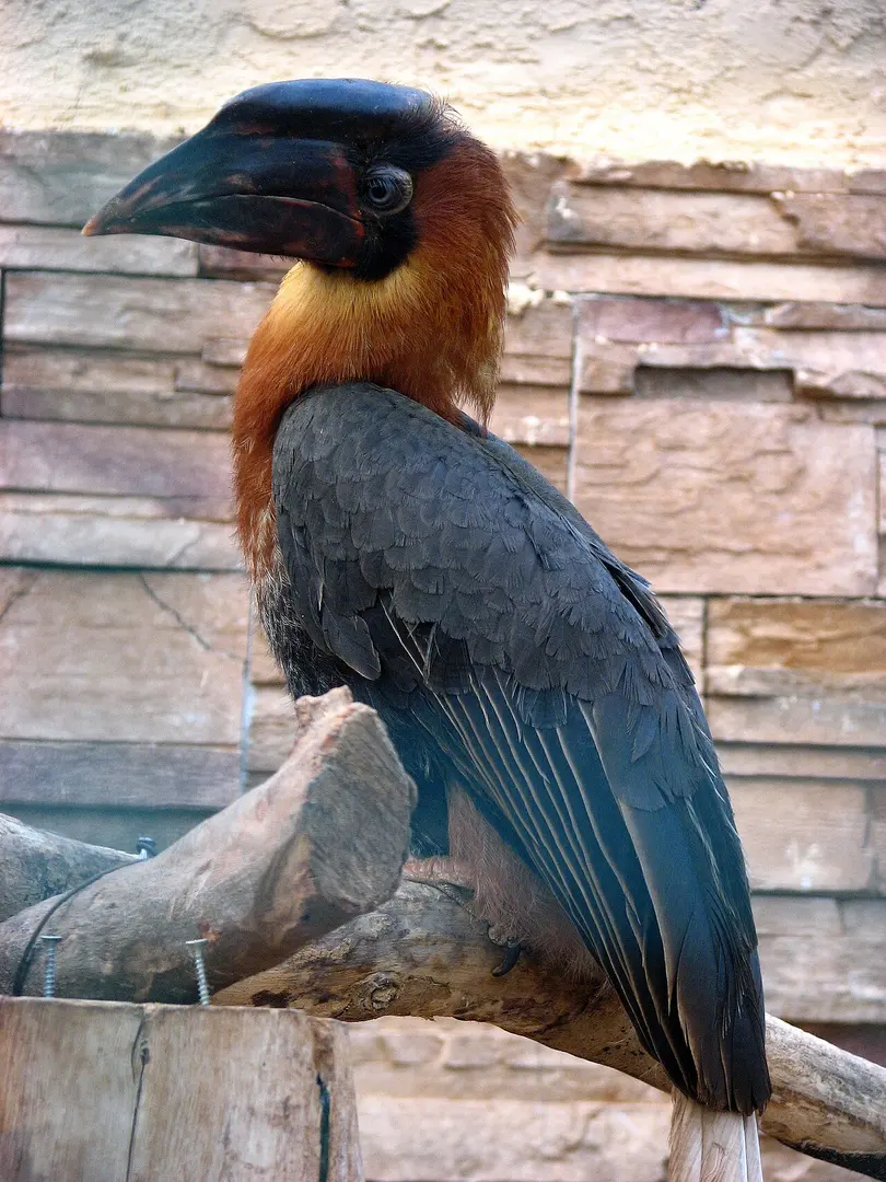 Attischer Zoologischer Park