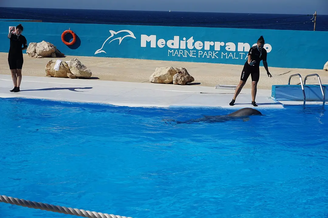 Mediterraneo Marine Park