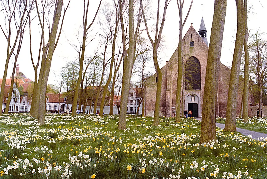 Begijnhof Ten Wijngaerde