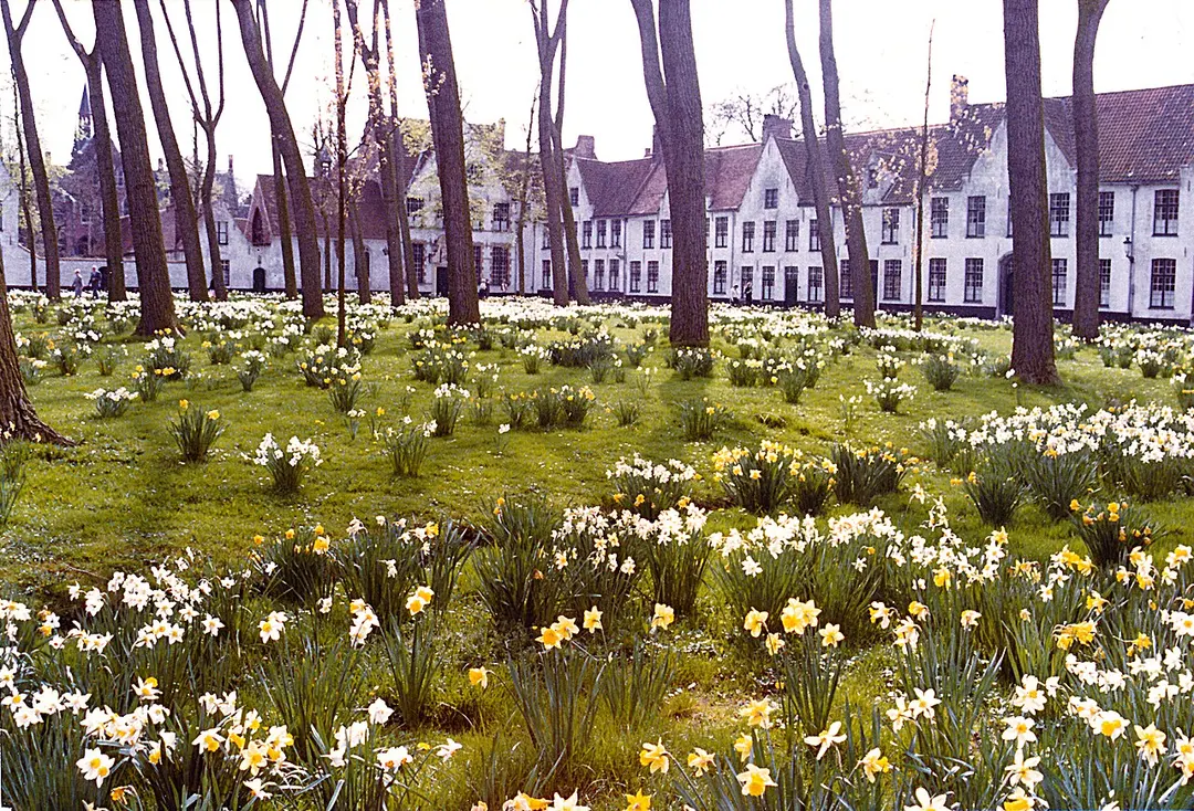 Begijnhof Ten Wijngaerde