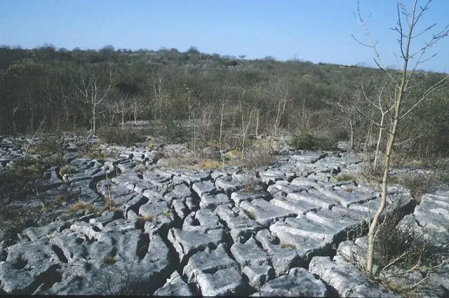Campo de Lapiás de Negrais