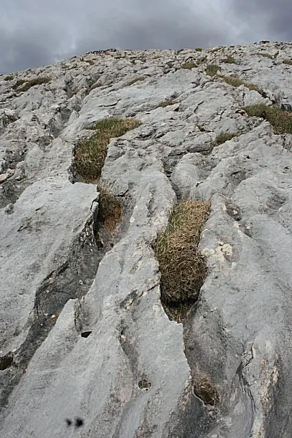 Campo de Lapiás de Negrais