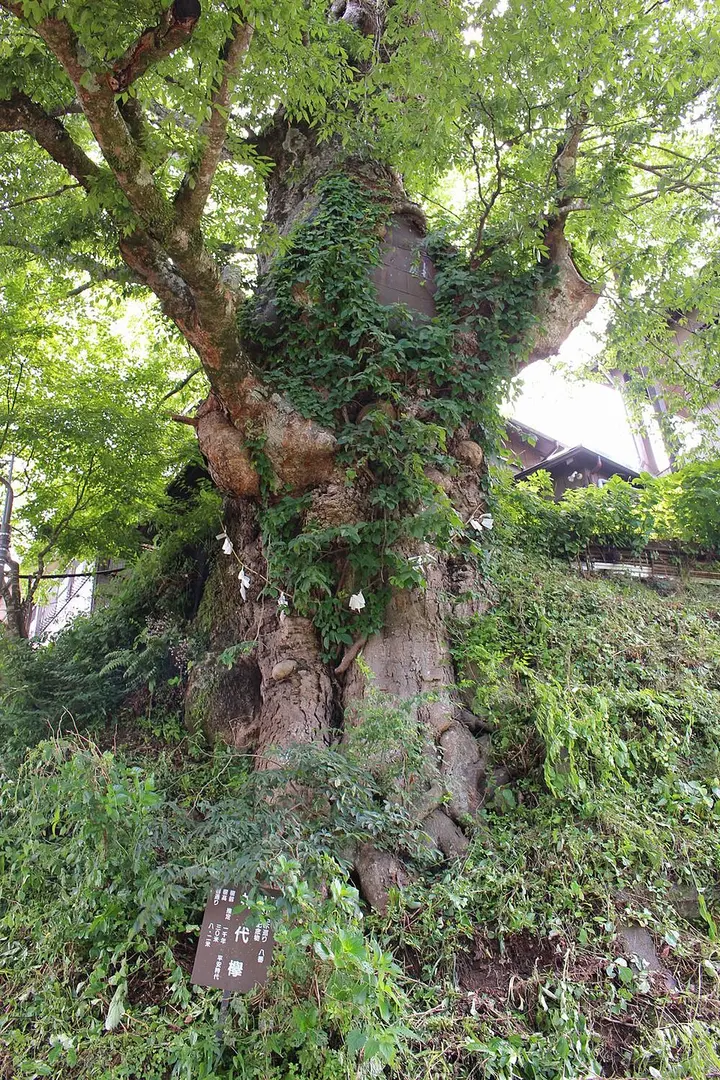 御岳山