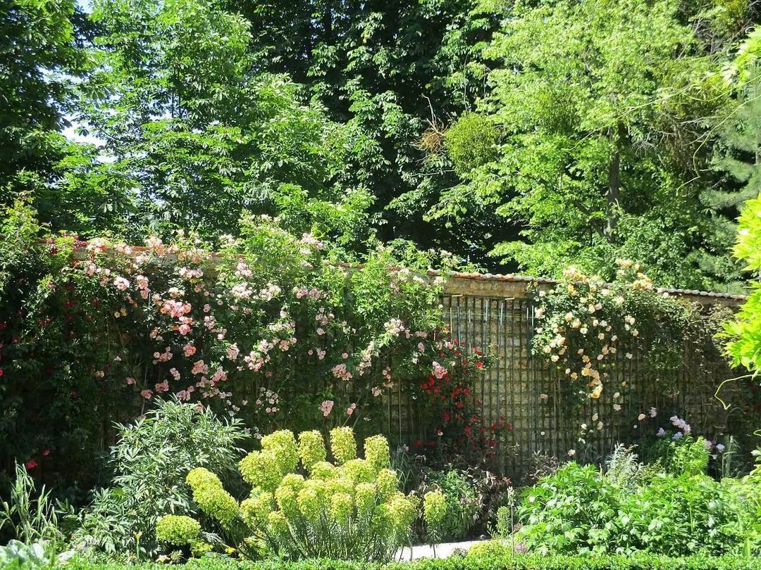 Parc de Bagatelle