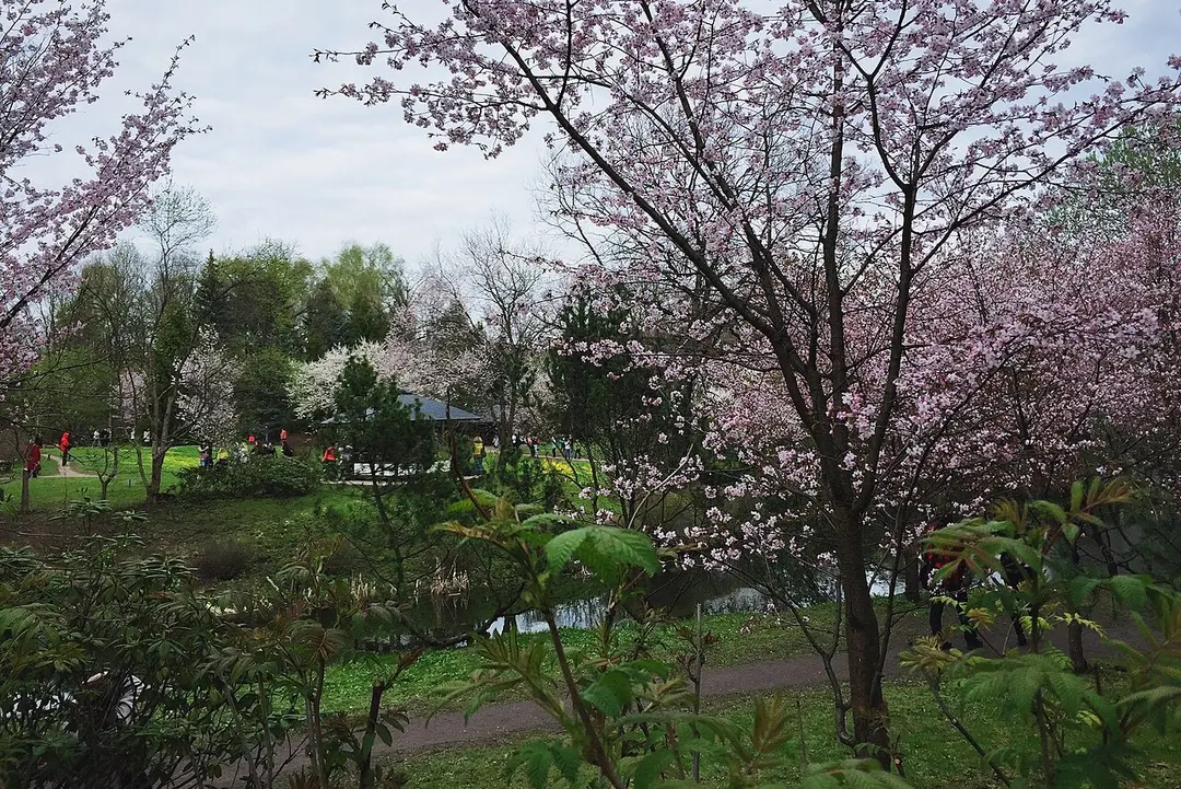 Japanischer Garten in Moskau