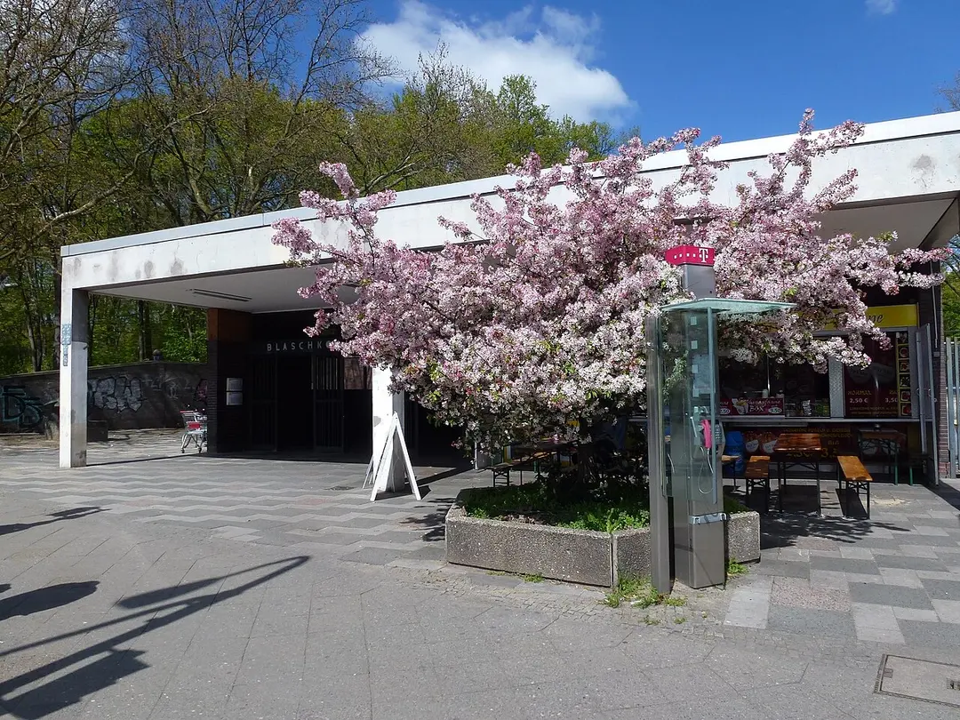 Blaschkoallee
