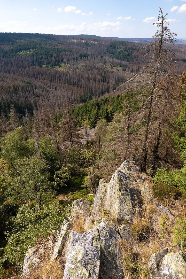 Auf dem Acker