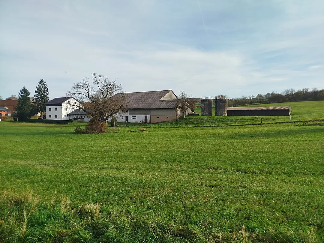 Bad König