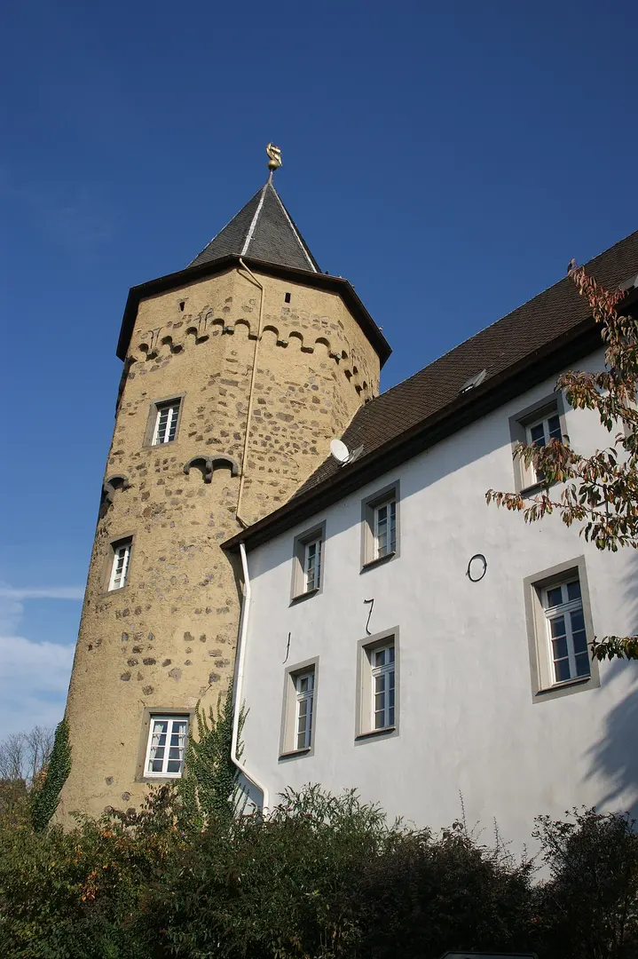 Burg Linz