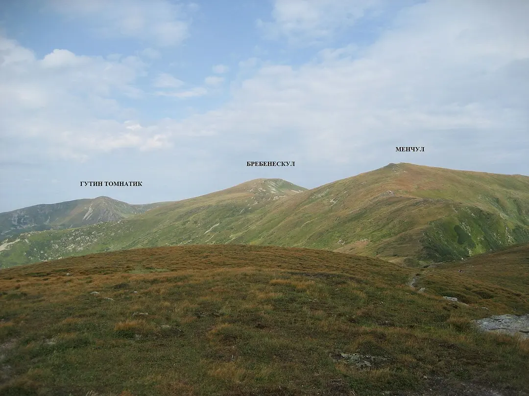 Brebeneskul
