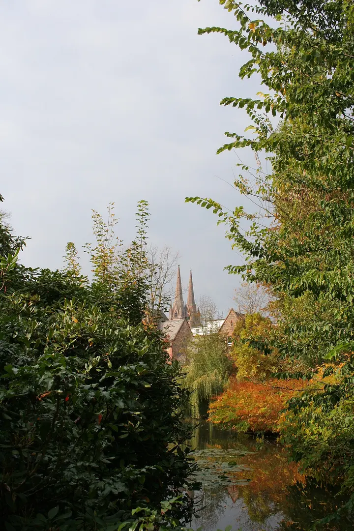 Alter Botanischer Garten