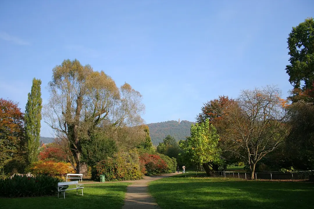 Alter Botanischer Garten