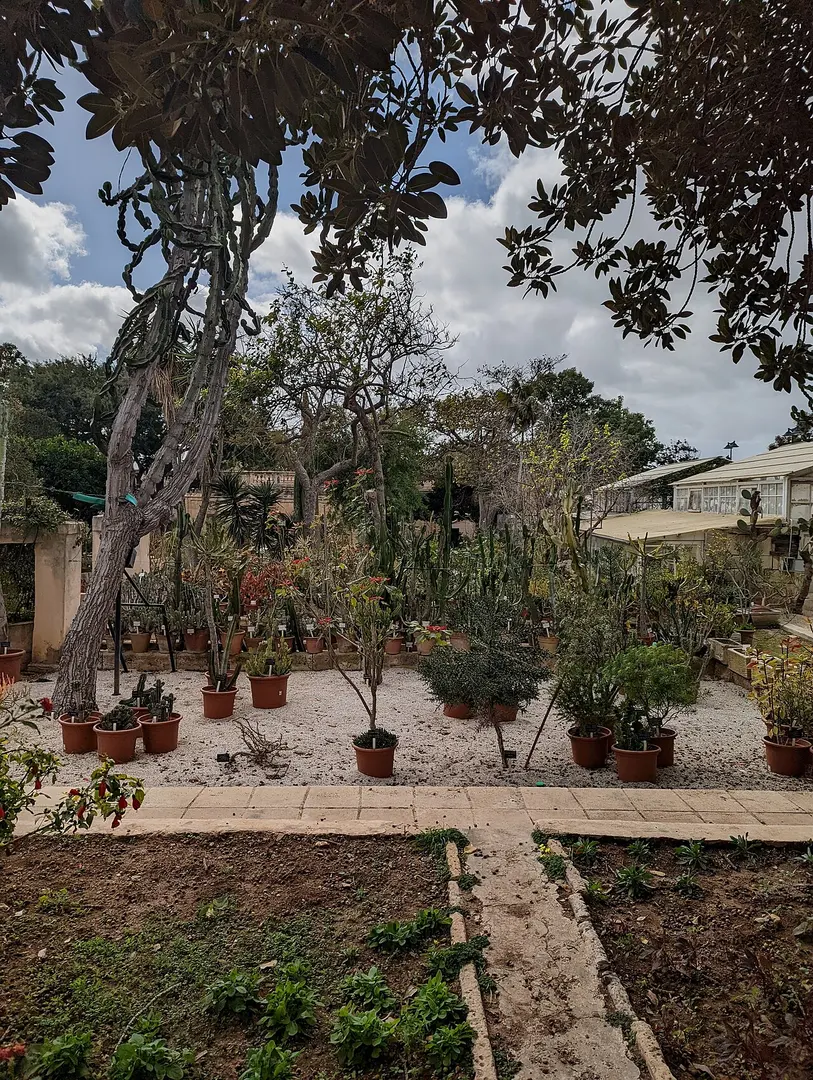 Il-Ġonna tal-Argotti