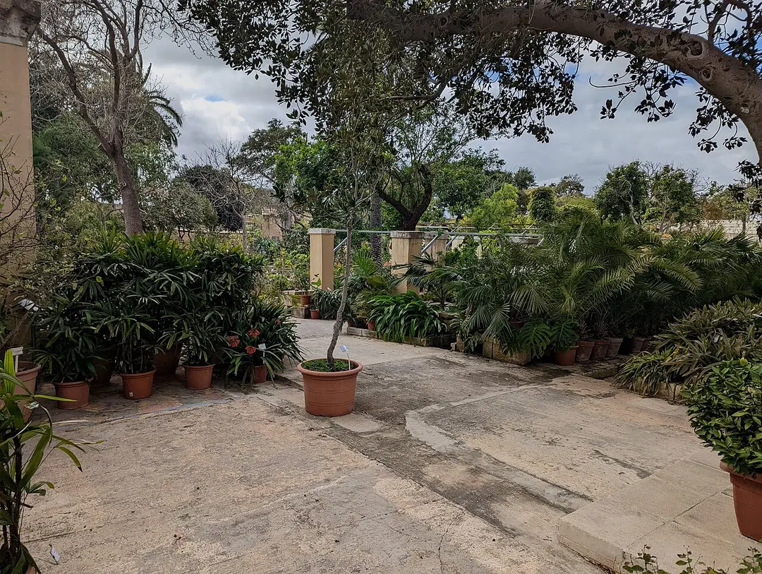 Il-Ġonna tal-Argotti