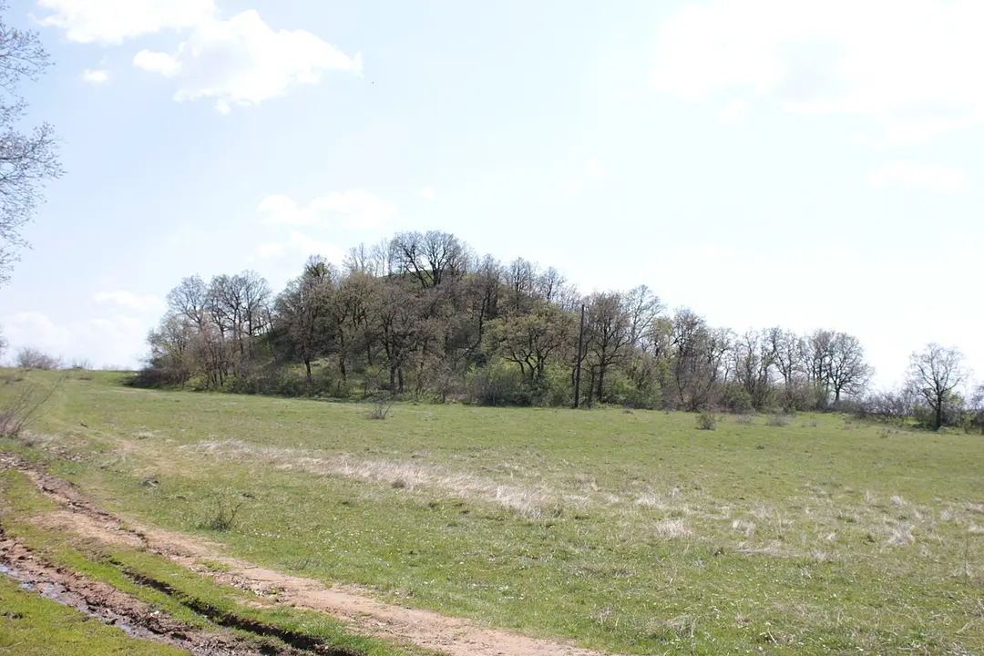 Aleksandrovo tumulus