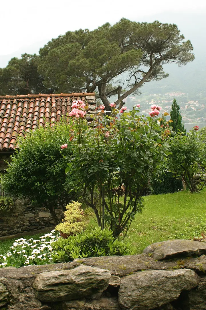 Bellano